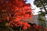 Hotel Chinzanso Tokyo