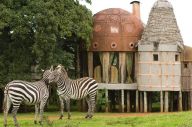 Ngorongoro Crater