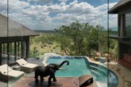 Four Seasons Safari Lodge Serengeti