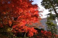 Hotel Chinzanso Tokyo