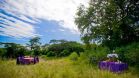 &Beyond Grumeti Serengeti Tented Camp