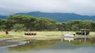 Lake Manyara Tree Lodge