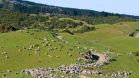 The Farm at Cape Kidnappers