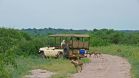 Sanctuary Chobe Chilwero