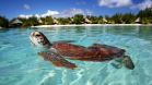 Le Méridien Bora Bora