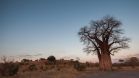 Belmond Savute Elephant Lodge