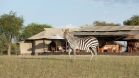 Singita Sabora Tented Camp