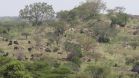 Serengeti Migration Camp